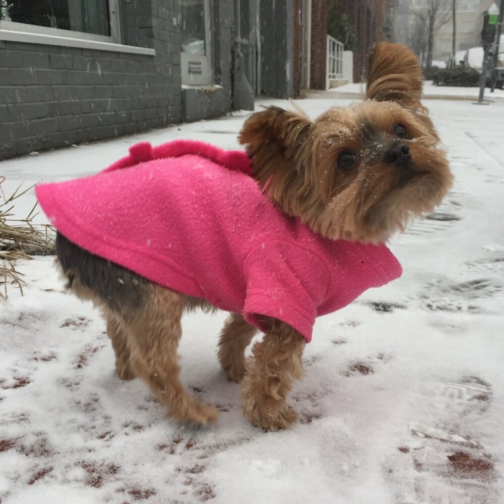 #PoshPets Adorable Pink Snuggie - Size Small